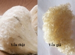 Làm sao để phân biệt yến sào chất lượng thật và hàng giả